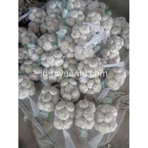 Paket dalam 500gx20 / 10kg Bawang Putih